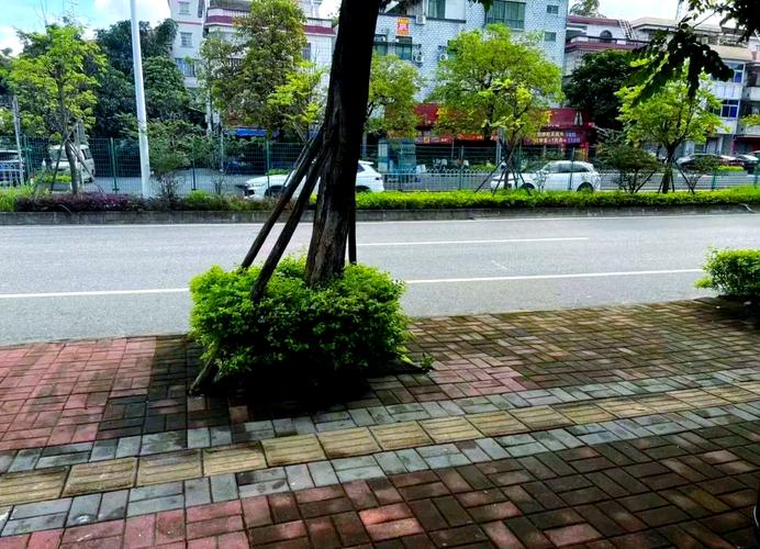 五桂山街道打造智慧环卫系统,提升环境卫生管理能力