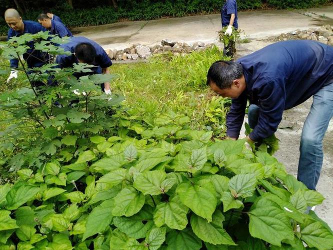 四工厂党日主题活动